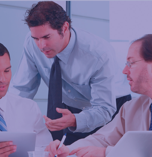 Curso en Competencias de Liderazgo y Gerencia